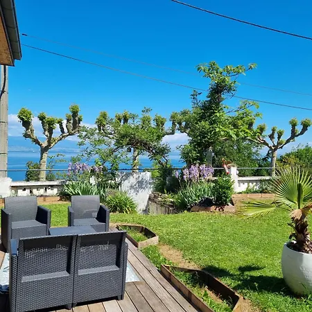 Cozy 1 Panoramique Leman